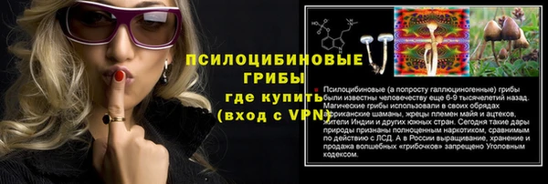 mdpv Киреевск