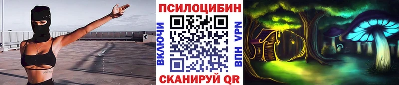 Купить  Петровск  Галлюциногенные грибы мицелий 