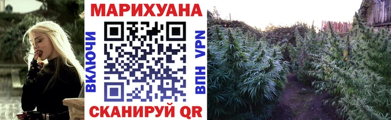 Купить закладки  Петровск  Марихуана Ganja 